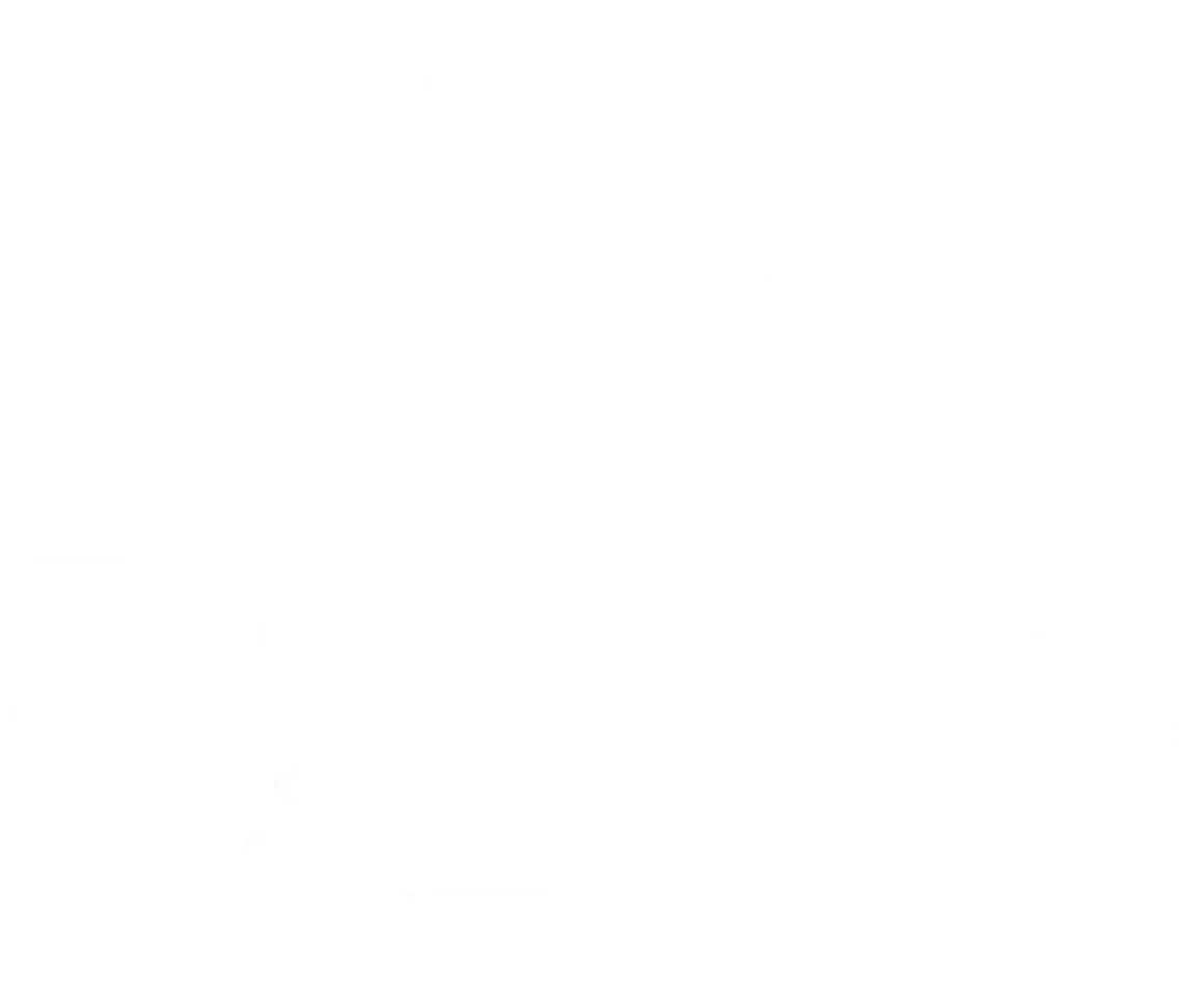 Personalizzazione gestione flotta auto