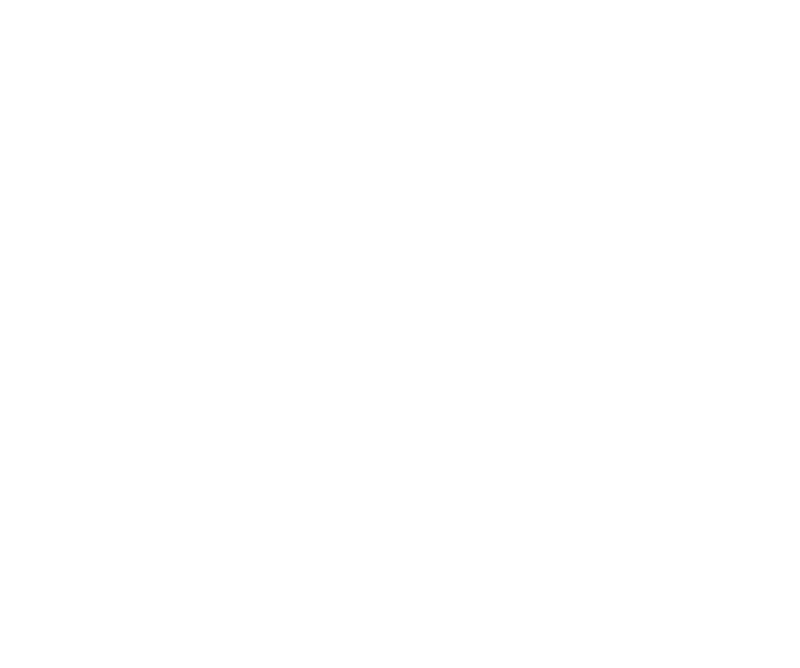 Personalizzazione gestione flotta auto